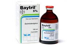 BAYTRIL 5% SOLUCIÓN INYECTABLE Antibacteriano y antimicoplásmico en solución inyectable