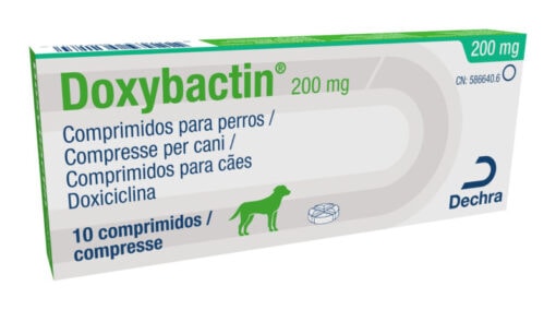 DOXYBACTIN