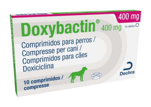 Doxybactin