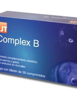 JT COMPLEX B