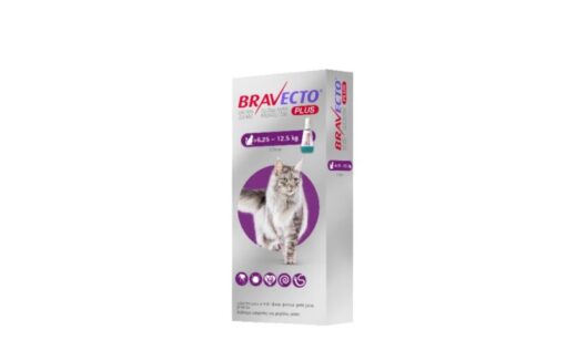 BRAVECTO® PLUS Solución para Unción Dorsal Puntual para Gatos