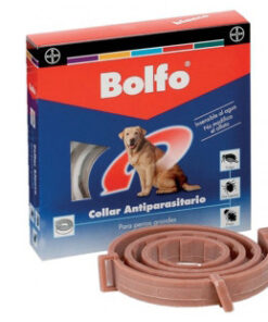 BOLFO