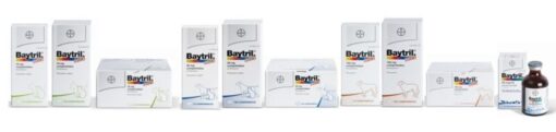 BAYTRIL SABOR 15 mg Antibacteriano y antimicoplásmico en comprimido oral palatable