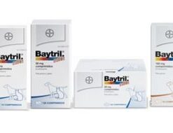 BAYTRIL SABOR : Perros y Gatos: Infecciones respiratorias, enteritis bacterianas, infecciones urinarias, de piel y otitis. comprar baytril, buy baytril