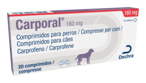 CARPORAL Antiinflamatorio no esteroideo en comprimidos saborizados para perros