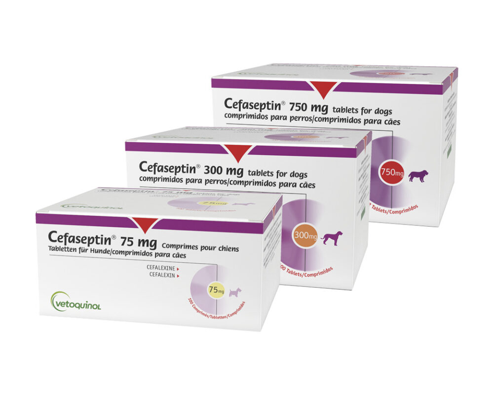 CEFASEPTIN 300MG 100 COMPRIMIDOS Tratamiento De Infecciones   Cefaseptin 1001x800 