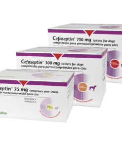 Cefaseptin