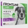 FRONTLINE