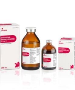 GANADEXIL® ENROFLOXACINO 5% Solución inyectable Antibacterianoen solución inyectable