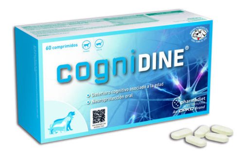 CogniDINE