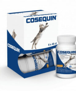 COSEQUIN ADVANCED 