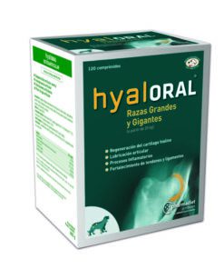 HYALORAL RAZAS GRANDES