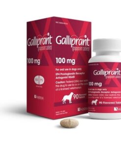 Galliprant 100mg