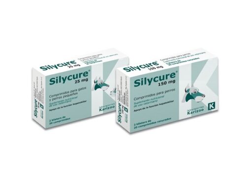 SILYCURE