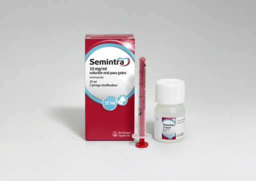 SEMINTRA GATO 10MG/ ORAL 35ML | ENFERMEDAD RENAL CRONICA GATOS