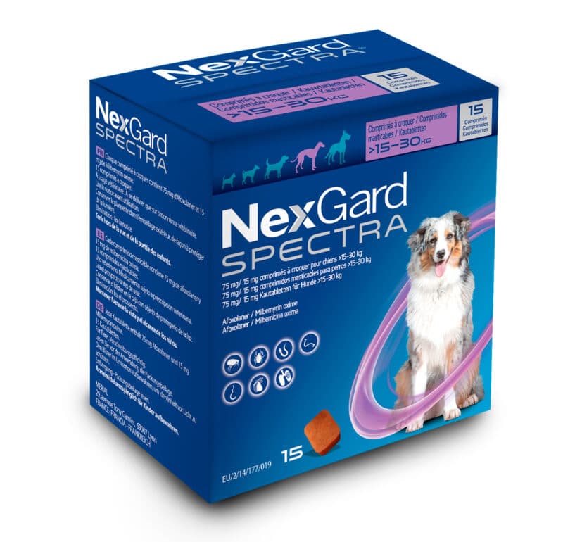 Нексгард спектра отзывы. NEXGARD для кошек. NEXGARD Spectra для собак 3 компонентная 1 большая и 2 маленькие. NEXGARD Spectra в руках. НЕКСГАРД спектра для собак купить Воронеж.