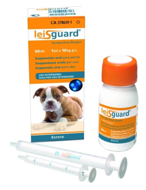 LEISGUARD