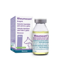 Rheumocam 5mg/ml 10 Ml Antiinflamatorio inyectable para perros y gatos