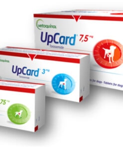 UPCARD