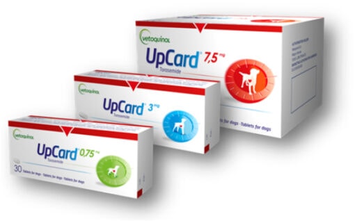 UPCARD