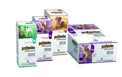 PROFENDER Para perros que sufran, o con riesgo de sufrir, infestaciones parasitarias mixtas causadas