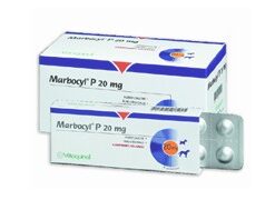 MARBOCYL P 20 MG Antibacteriano en comprimido apetitoso oral