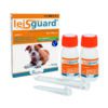 LEISGUARD