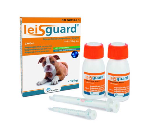 LEISGUARD