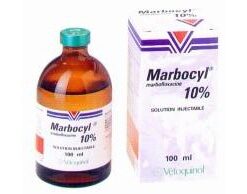 MARBOCYL 2% SOLUCION INYECTABLE 250ML | ANTIBACTERIANO