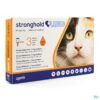 STRONGHOLD GATO PLUS