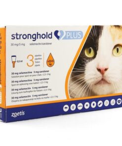 STRONGHOLD GATO PLUS