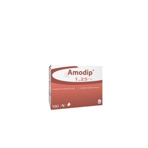 AMODIP 100comp