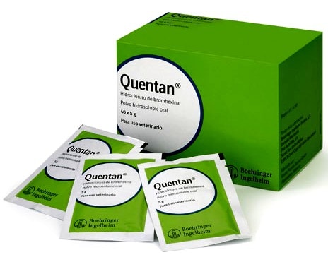 QUENTAN 