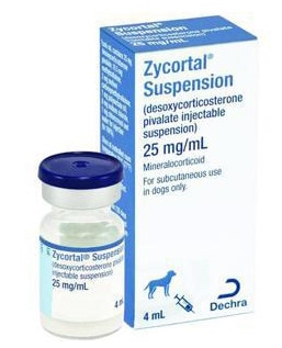 ZYCORTAL