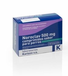 NOROCLAV 500 MG COMPRIMIDOS SABOR PARA PERROS