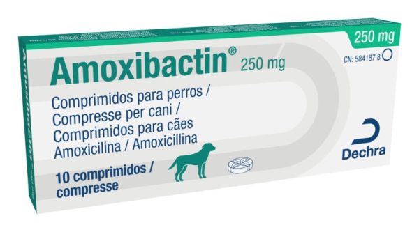 AMOXIBACTIN