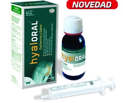 HYALORAL GEL