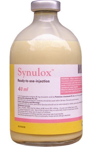 SYNULOX Antibacteriano