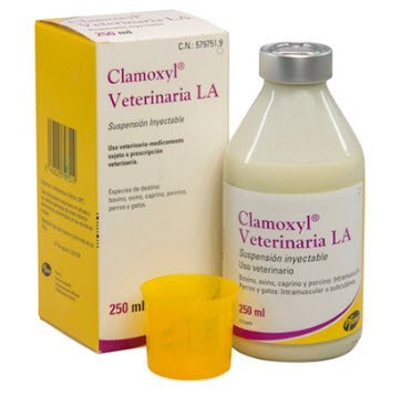 CLAMOXYL L.A 250 ml