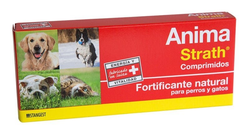 ANIMA STRATH