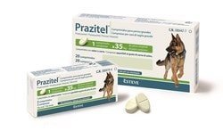 PRAZITEL