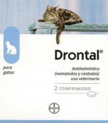 Drontal para gatos