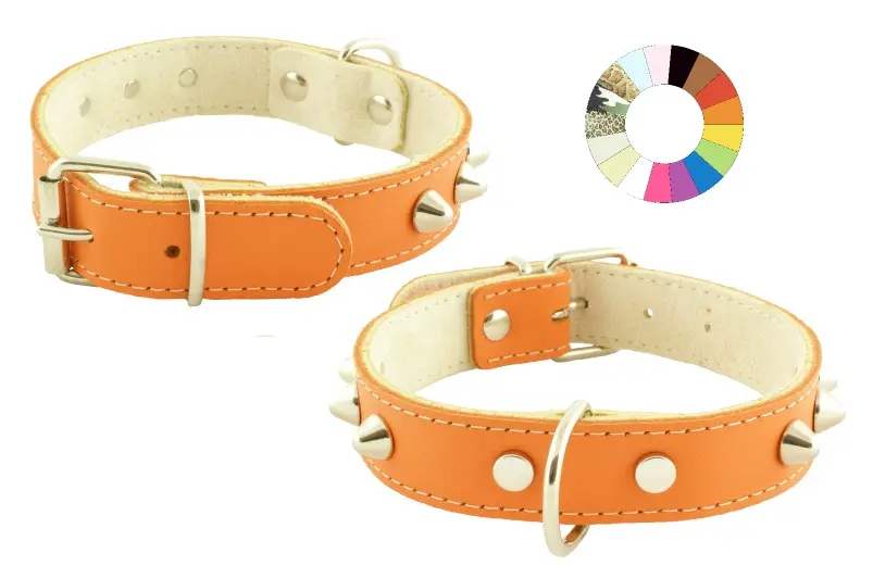 Collar Mountain CO1F NG: Elegancia y Resistencia para Mascotas Grandes