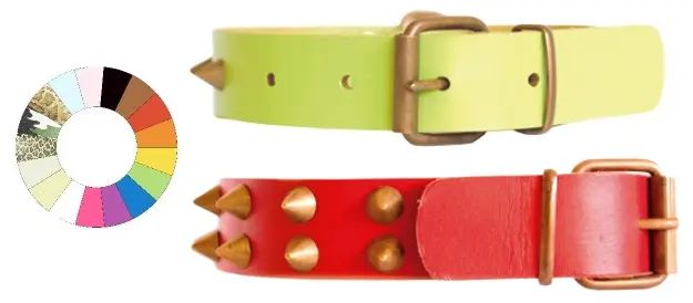 Collar de Cuero para Mascotas CLASS CO1F MR2 Ajustable 39-48 cm - Resistente y Elegante