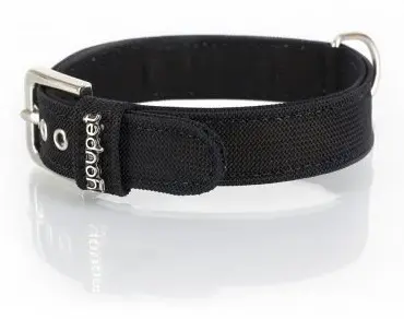 COLLAR NEW YORK NG L315 A25 USO 20/25