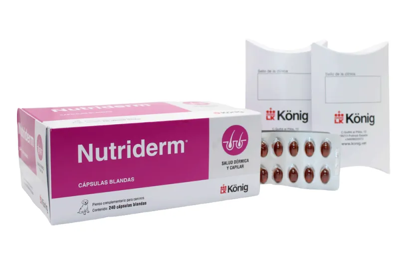 NUTRIDERM 240 CAPSULAS (NDR)