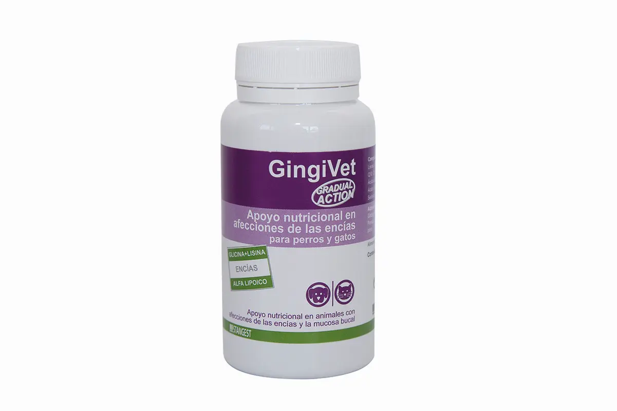 GINGIVET 60CPD