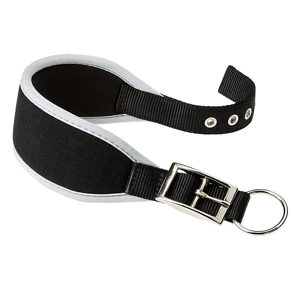 Collar para Perros FERPLAST Ergocomfort CW25 46 Gris - Comodidad y Estilo