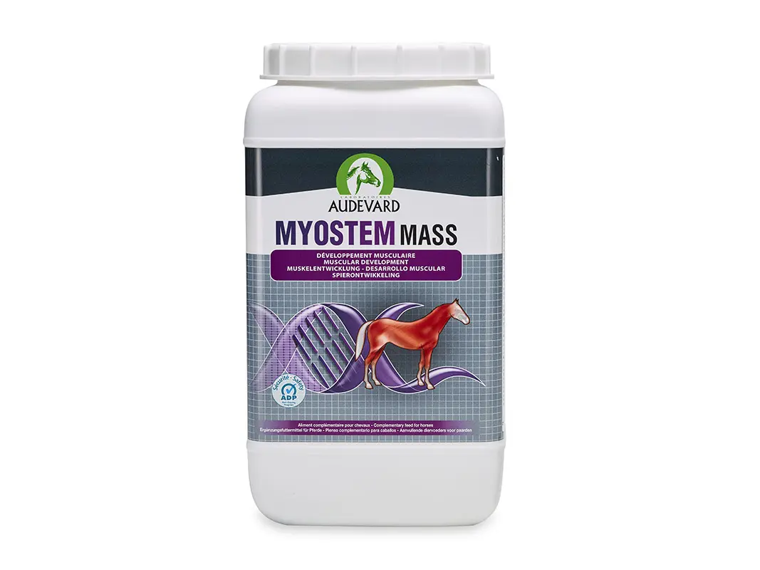 AUDEVARD MYOSTEM MASS 2,1KG (NDR)